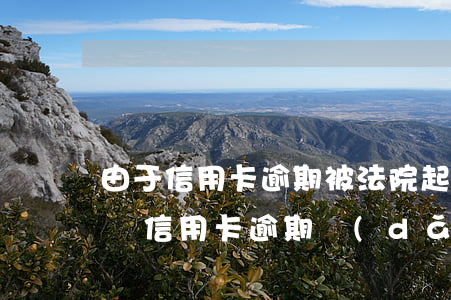 由于信用卡逾期,被法院起訴,但是沒有能力償還，信用卡逾期導(dǎo)致法院起訴，無力償還怎么辦？
